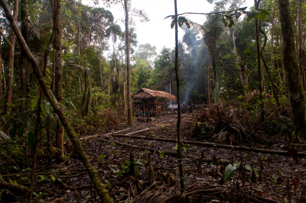 Acampamento de extração ilegal de madeira na selva peruana. Peru. Foto: Fellipe Abreu / Fotoarena